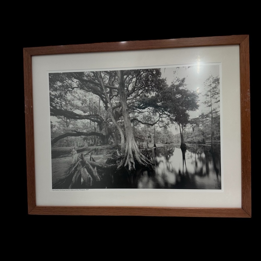 Clyde Butcher, Framed Black and White Photograph, Fish Eating Creek #6